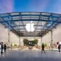Apple Releases New Public Betas of iOS 15, iPadOS 15, watchOS 8, and tvOS 15 Image