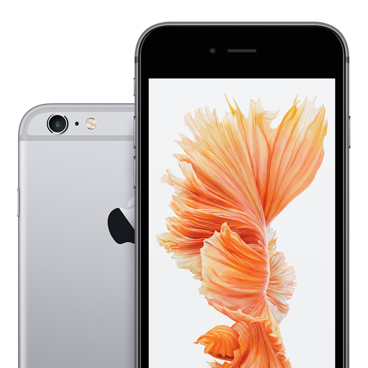 Orange and white 6s top